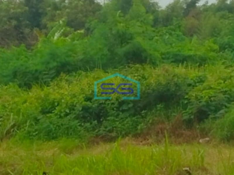 Dijual Tanah Kavling Dalam Kawasan Industri Cikarang Selatan Bekasi LT 1055m2