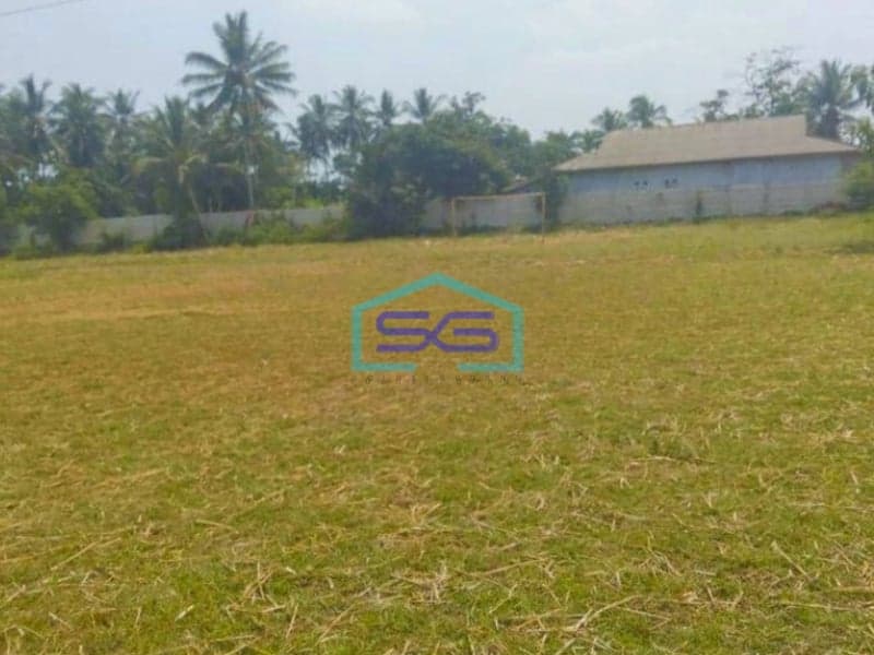 Dijual Cepat Tanah Di Panimbang Pandeglang Banten 1.5 Ha Pinggir Jalan Utama Murah