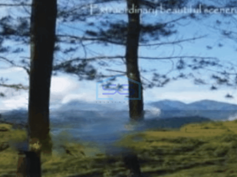 Dijual Tanah Area Berkembang di Kadipaten Jawa Barat Luas 750000m²