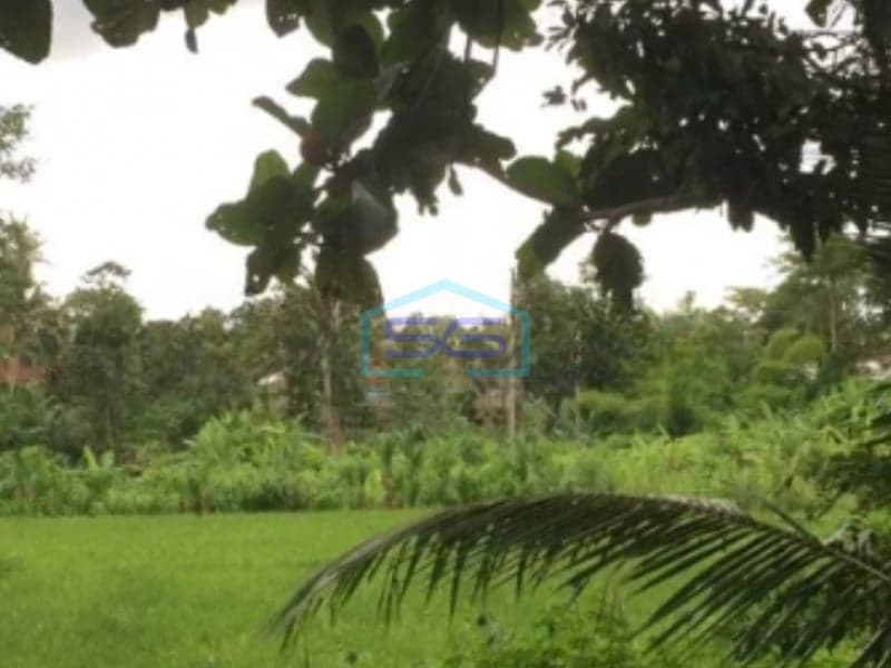 Disewakan Tanah di Jalan Utama Ubud Gianyar Bali