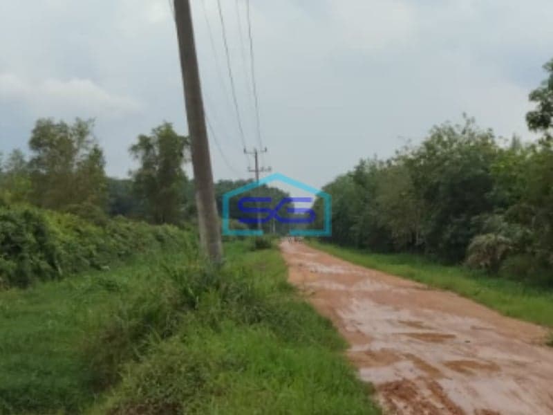 Dijual Tanah Jl Sukamakmur Air Batu kawasan Agrobisnis Peternakan Banyuasin Palembang LT 11 Hektar