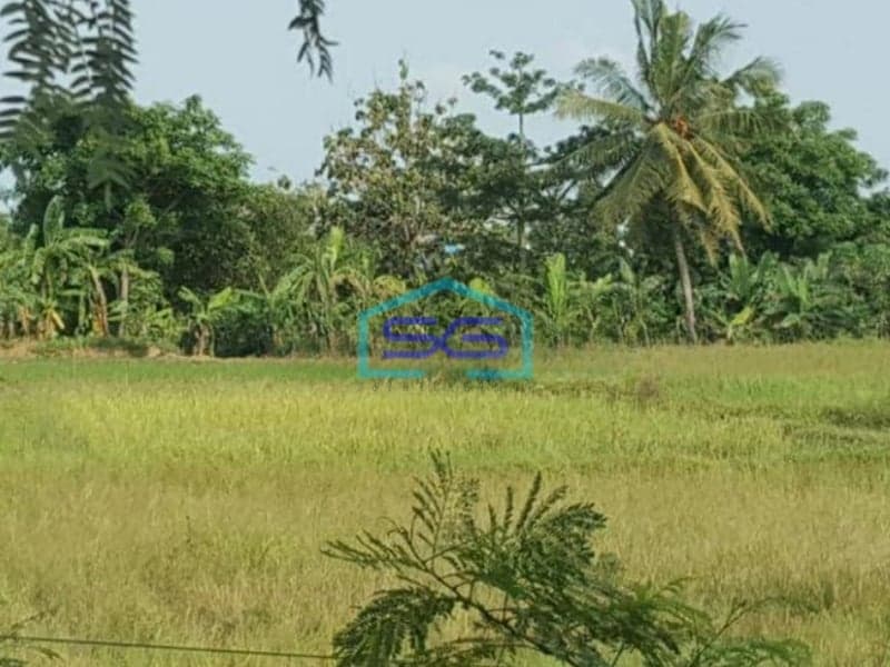 Dijual Tanah di Kareo Jawilan Cikande Serang Luas 9 Hektar Dipinggir Jalan Raya