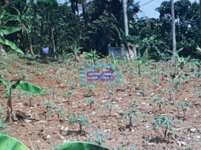 Dijual Tanah Di Citeureup Bogor Lokasi Strategis Akses Bagus LT 47231m2