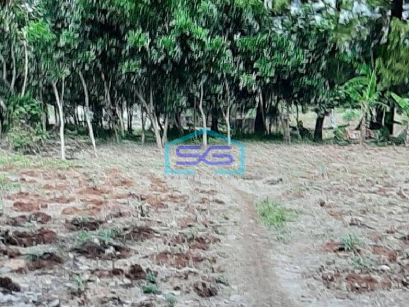Dijual Tanah Di Bojong Gede Bogor Sangat Strategis LT 4361m2