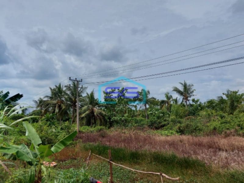 Dijual Tanah Luas 33 Ha Lokasi Strategis Tepi Jln Tanjung Api Api KM 42 Palembang