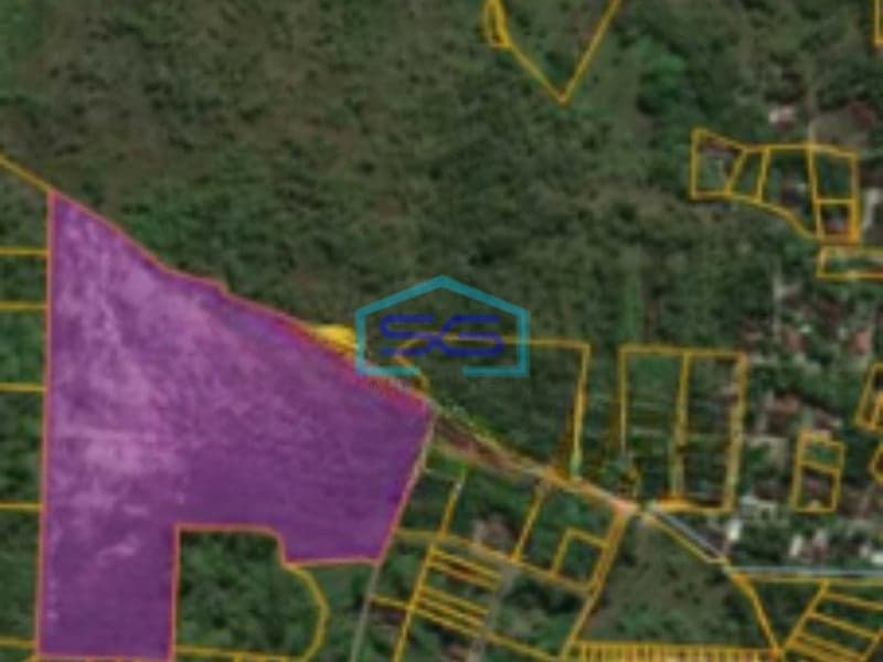 Dijual Tanah Cocok Untuk Pabrik Atau Gudang, Wuryantoro, Wonogiri Luas Tanah 50966 m²