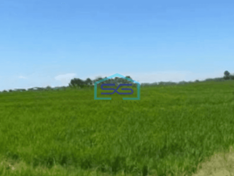 Dijual Tanah Kertajati Desa Kertasari Blok Kaso Tanah Lokasi Sangat Dekat bandara Kertajati