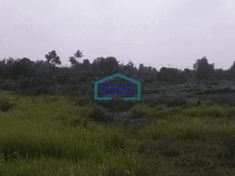 Dijual Tanah Di Kawasan Tristate Cikupa Tangerang Luas Tanah 33000m2 Zona Industri