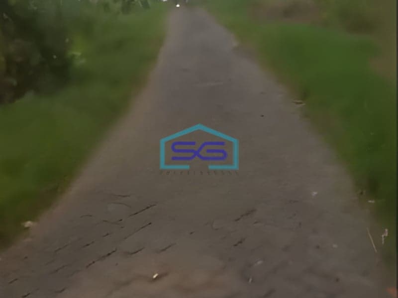 Dijual Tanah Luas Tanah 3000m2 SHM Winongan Pasuruan Jawa Timur