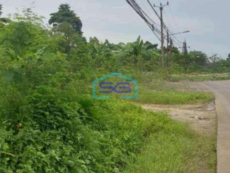 Dijual Cepat Tanah Luas 3000 m² Lokasi Bebas Banjir di Jambe Tangerang