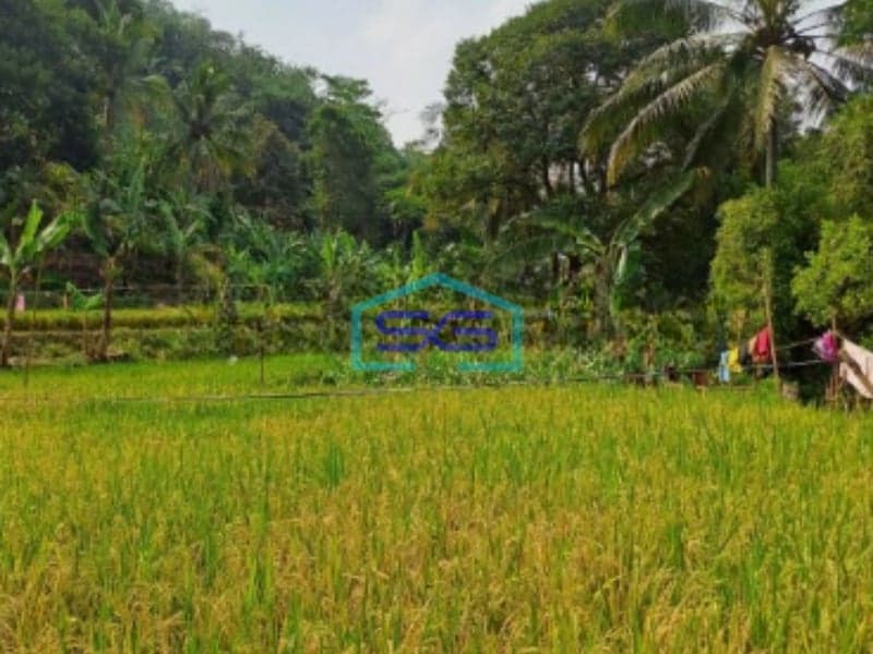 Dijual Tanah Sangat Bagus Luas 11000m2 Desa Rabak Rumpin Bogor