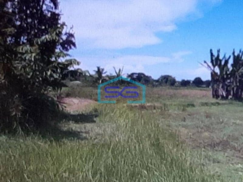 Dijual Tanah Lokasi Strategis Pinggir Jalan Pasuruan LT 280800m2