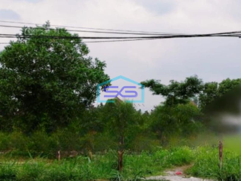 Dijual Tanah Murah Luas 260000 m² Lokasi Tigaraksa Tangerang