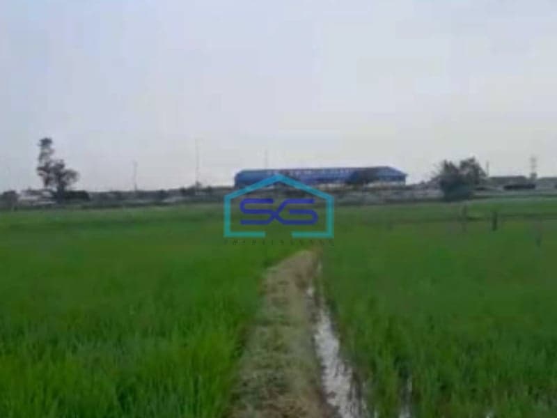 Dijual Tanah Siap Bangun Di Serang Banten Luas Tanah  80000 m²