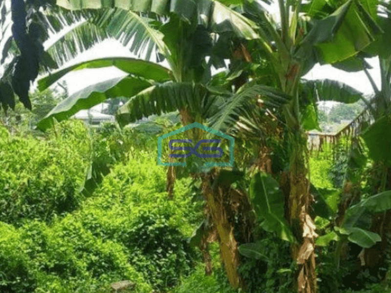 Dijual Tanah di Cipondoh Tangerang Luas Tanah  13215 m² Dekat Exit Tol Buaran