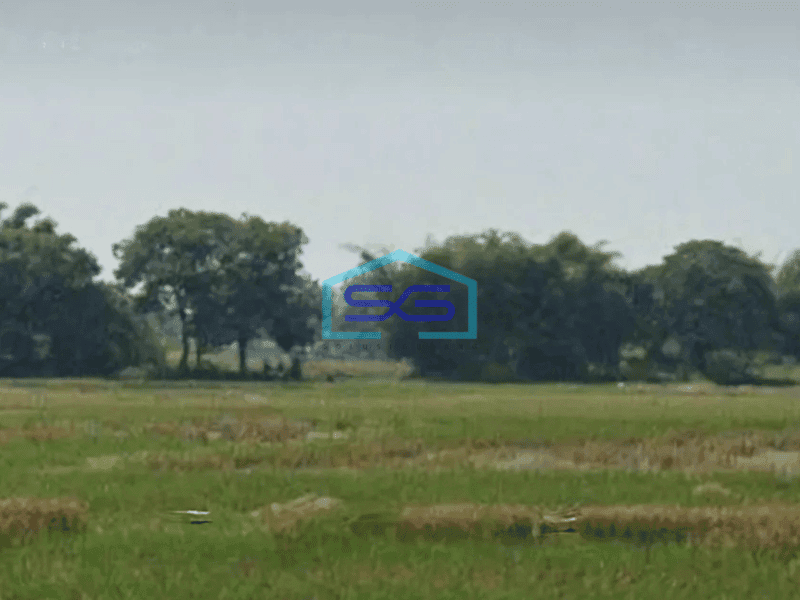 Dijual Tanah Datar Siap Bangun Di Kronjo Tangerang