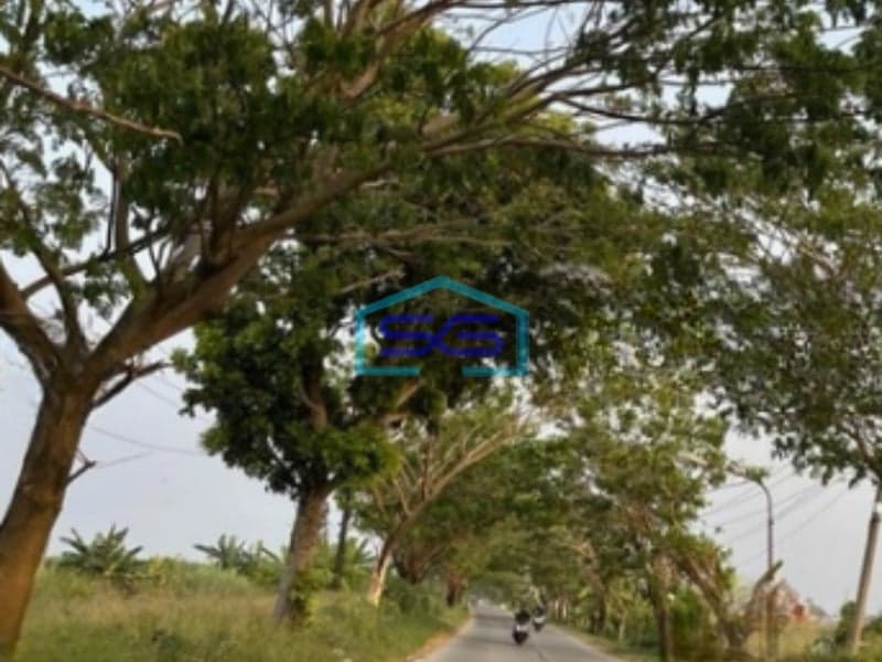 Dijual Tanah industri Murah dan Strategis Akses Kontainer Sayung Demak Jawa Tengah  LT 13897m2