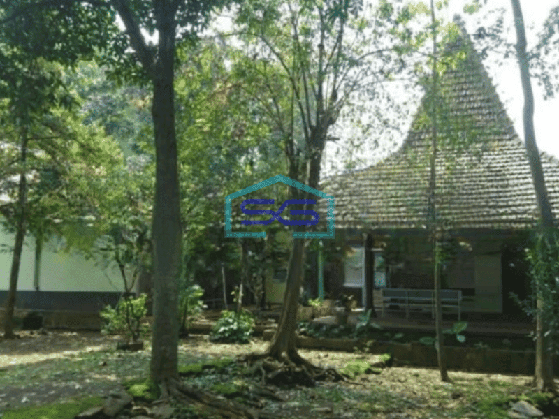 Dijual Tanah Lokasi Purwodadi Pasuruan Jawa Timur Luas  2564 m²