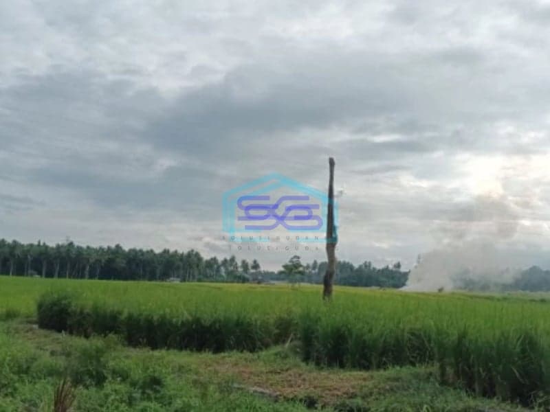 Dijual Tanah 2~6 H Di Jl Girian Kema Bitung Kawasan Industri Bitung Selatan, Bitung Luas Tanah (PxL)  20000 m²