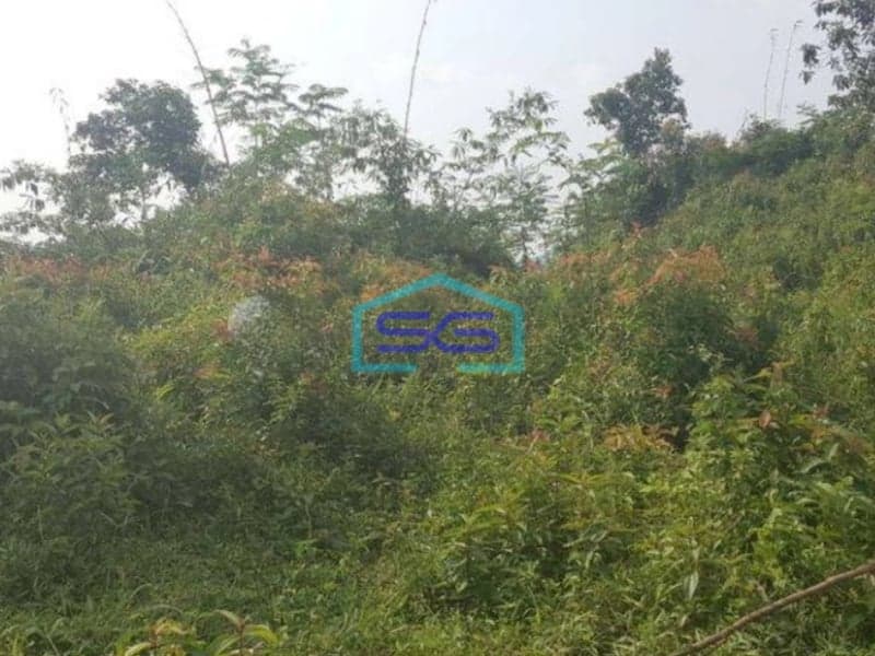 Dijual Tanah Di daerah Jasinga Bogor Letak Strategis Pinggir Jalan LT 14955m2