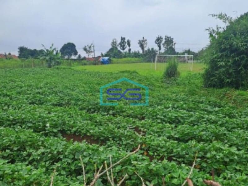 Dijual Tanah di Ci Bening Pamijahan Bogor Luas Tanah 72000m2