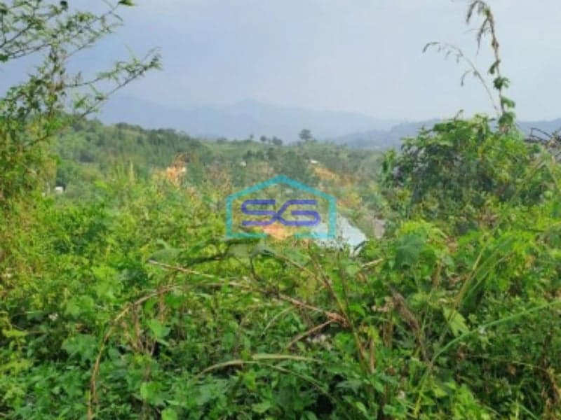 Dijual Tanah Desa Pabuaran Perbatasan Citereup Sukamakmur Bogor LT 10000m2