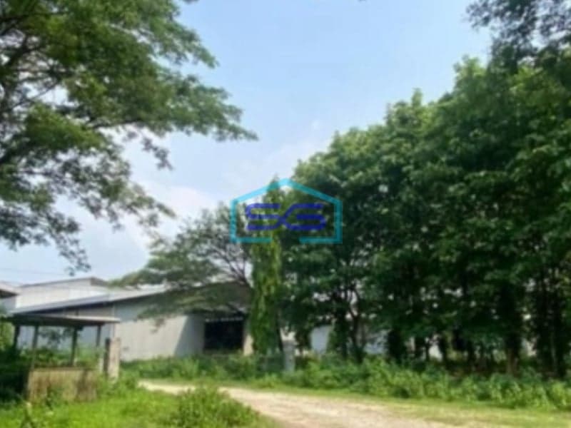 Dijual Tanah di Lokasi Strategis Pabuaran Subang Jawa Barat LT 528000m2