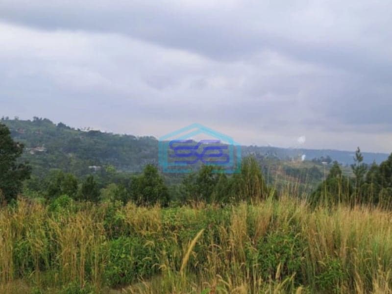 Dijual Tanah di Jalan Raya Desa Bojongkoneng Sentul Bogor Luas Tanah 4 Ha