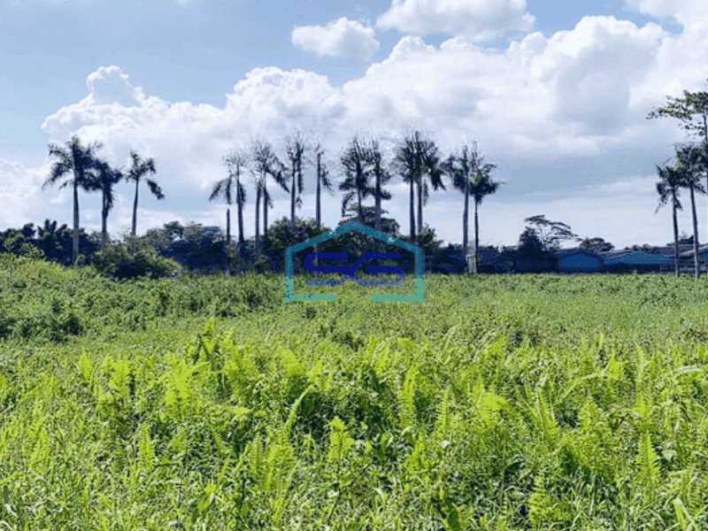 Dijual Tanah Kavling Luas 4000m2 Kawasan Industri Pasar Kemis Cikupa Tangerang