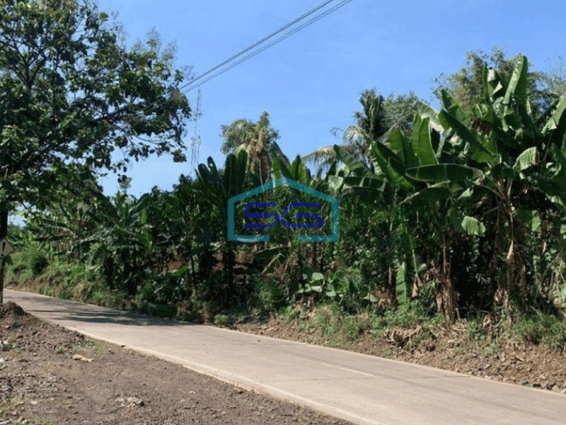 Dijual Tanah di Cibinong Hilir Cianjur