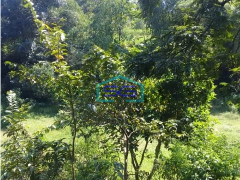 DIjual Tanah di Cimenyan Bandung Luas Tanah  3000 m²