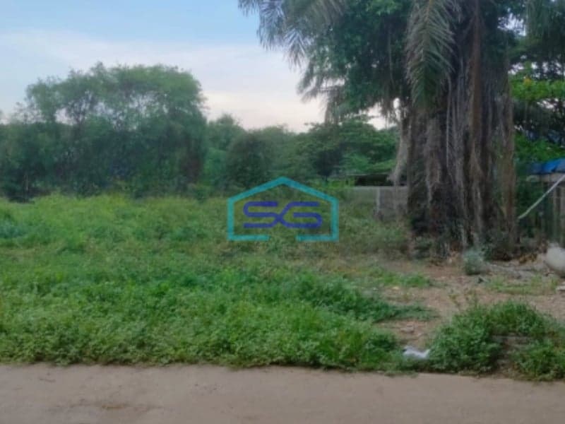 Disewakan Tanah Lokasi Bebas Banjir di Cilincing Jakarta Utara Luas 24000 m²