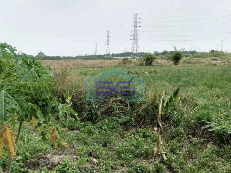 Dijual Cepat Tanah Untuk Gudang di Dadap Tangerang