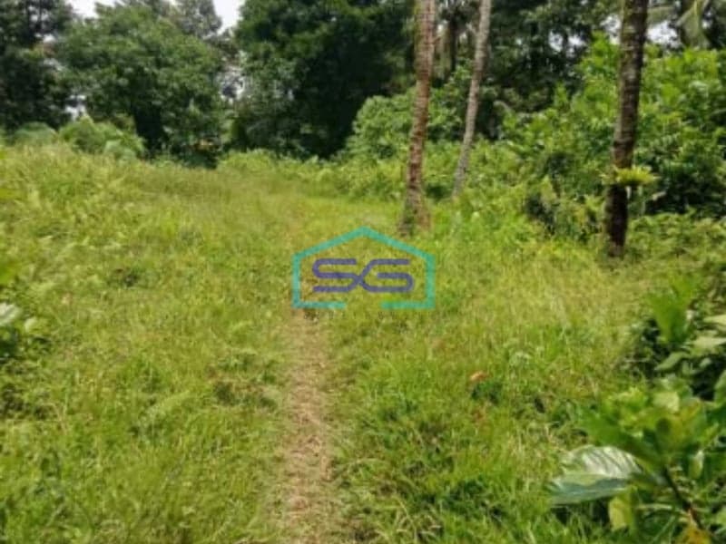 Dijual Tanah Lokasi di Pamijahan Bogor Luas Tanah 77000m2