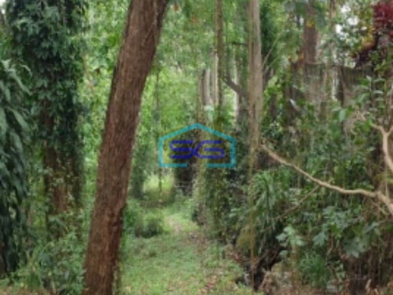 Dijual Tanah di Jalan Rancamaya Bogor Ciawi SHM Luas Tanah 15000m2