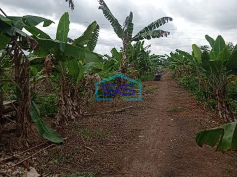 Dijual Tanah di Jalan Tanjung Api-Api Banyuasin Lokasi Strategis LT 22050m2