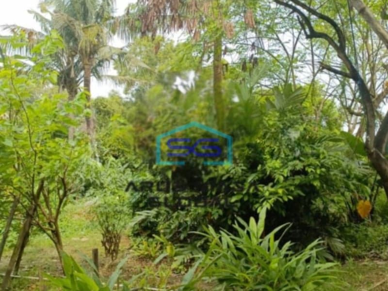 Dijual Tanah Di Wibawa Mukti Cikarang Bekasi Bersertifikat SHM Luas 1239m2