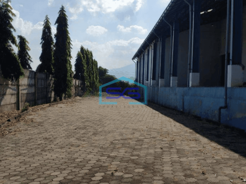 Disewakan Gudang Bawen Semarang Siap Pakai Luas Tanah 40000m2