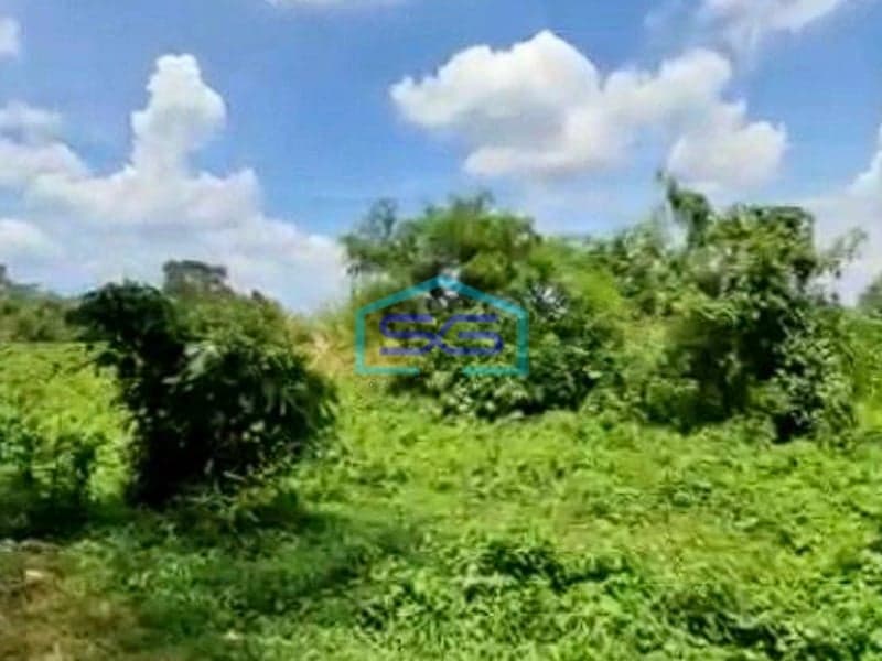 Dijual Tanah di Jalan Pemda Tigaraksa Tangerang Luas Tanah 18350m²