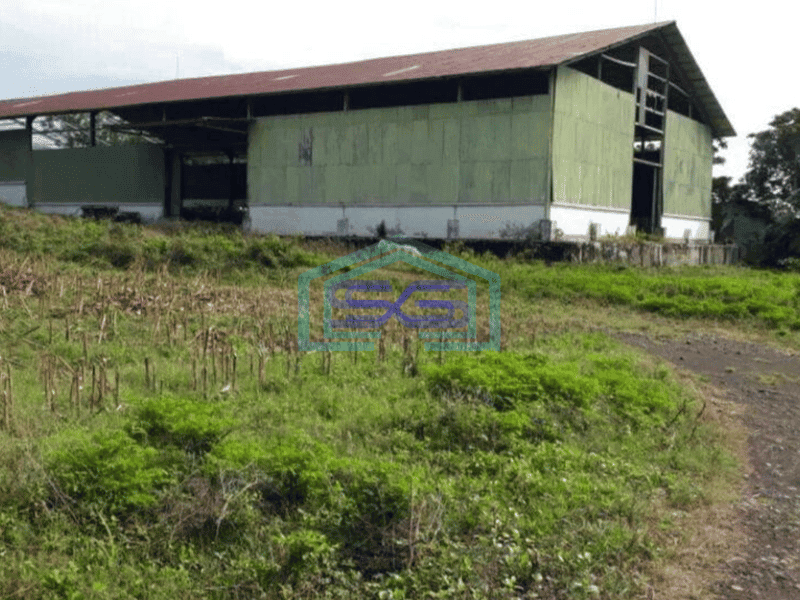 Dijual Gudang cocok buat industri di kauditan Minahasa