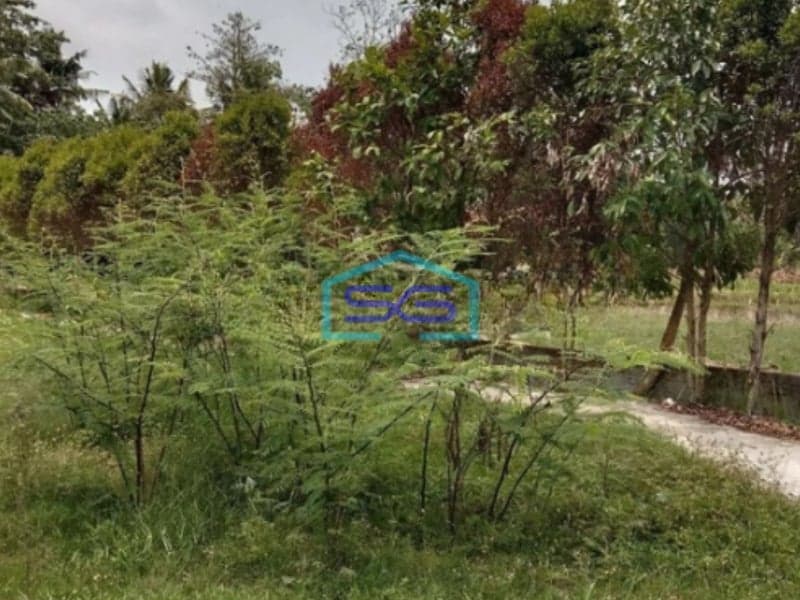 Dijual Tanah Strategis di Sleman Yogyakarta Luas Tanah 1959m2