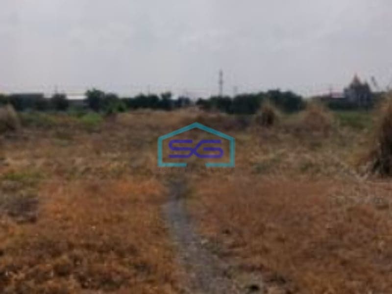 Disewakan Tanah Luas 5000 m² Lokasi Sidoarjo Jawa Timur