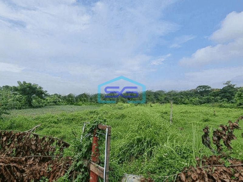 Dijual Lokasi Bagus!! Tanah Kawasan Industri Cikande Serang LT 240000m2