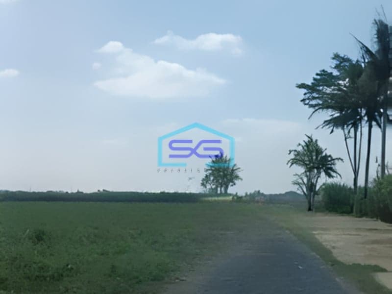 Dijual Tanah Luas 7320m2 SHM Lokasi di Pakisaji Malang