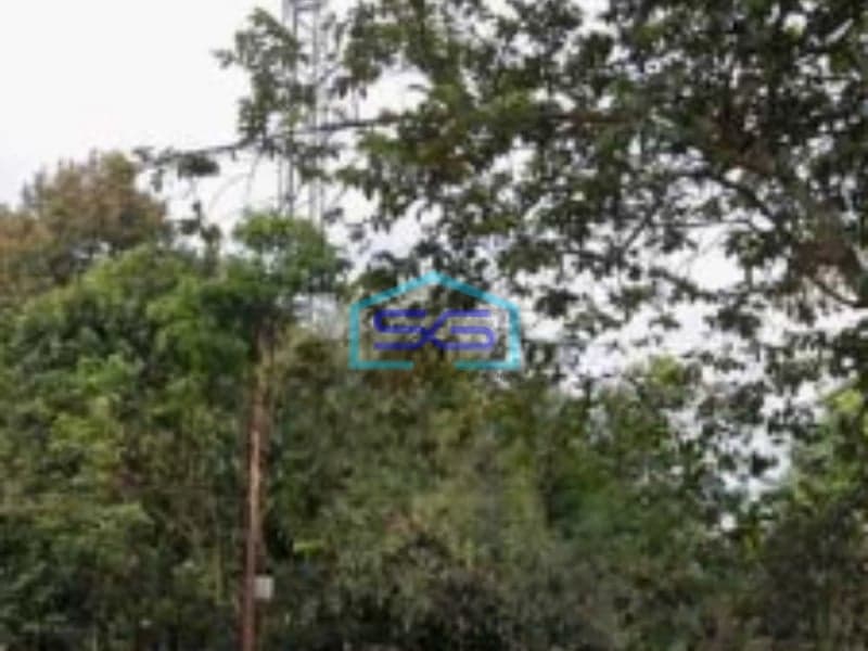 Disewakan Tanah Kosong Datar Sangat Cocok Untuk Industri Gudang Di Ciseeng Parung Bogor Luas Tanah  2600 m²