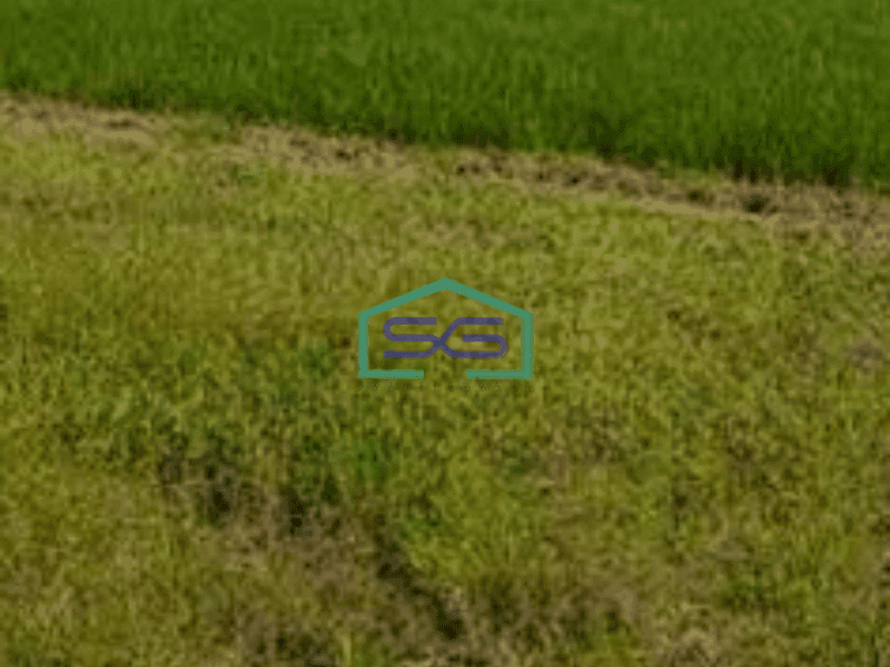 Dijual Tanah Lokasi di Sidoarjo Jawa Timur Luas 2610m2