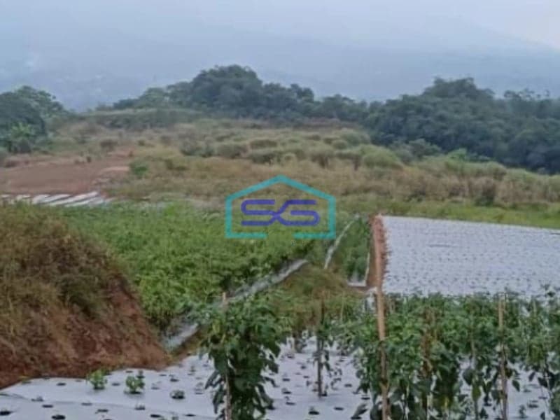 Dijual Tanah Desa Cisaat Cicurug Sukabumi Luas Tanah 40000m2