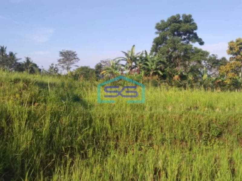 Dijual Tanah Strategis di Desa Pancawati Caringin Bogor LT 40000m2 Cocok Untuk Usaha