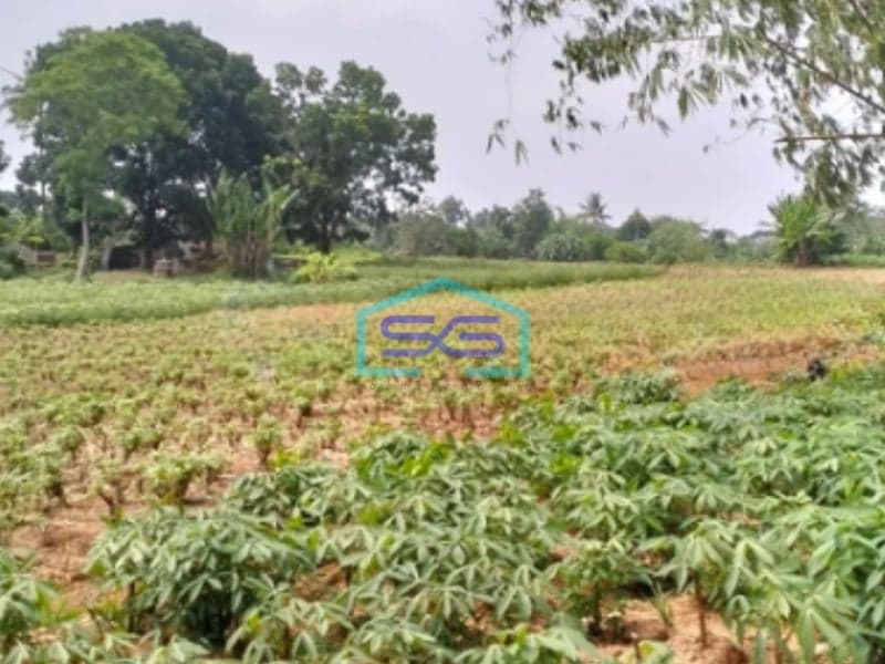 Dijual Tanah Bagus Strategis Di Tajur Halang Bogor Bebas Banjir