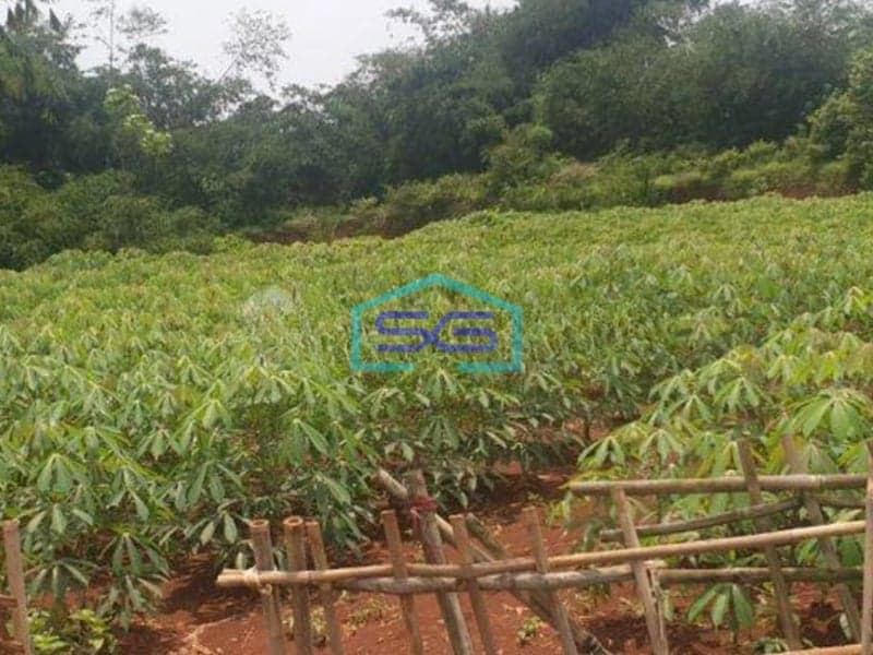 Dijual Tanah di Jampang Gunung Sindur Bogor LT 2890m2